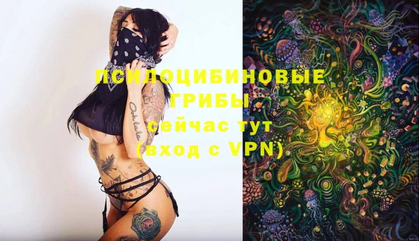 apvp Абинск