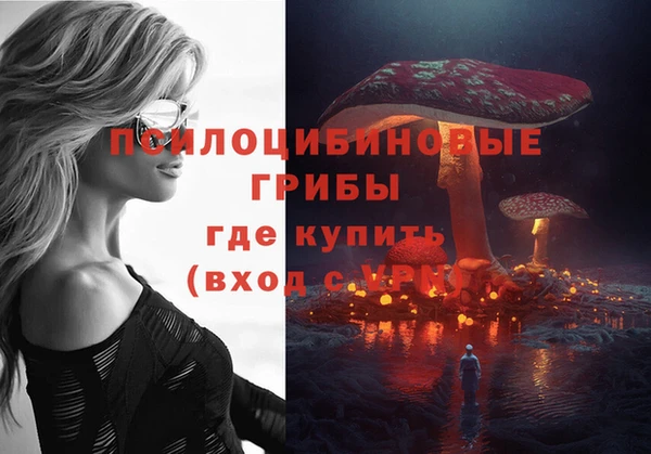 сатива Абаза