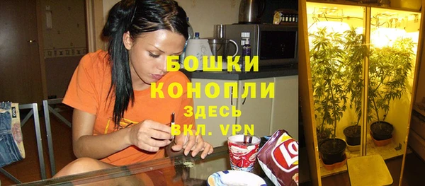 сатива Абаза